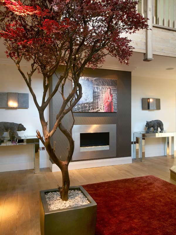 Architectural facade — Sonia Korn property